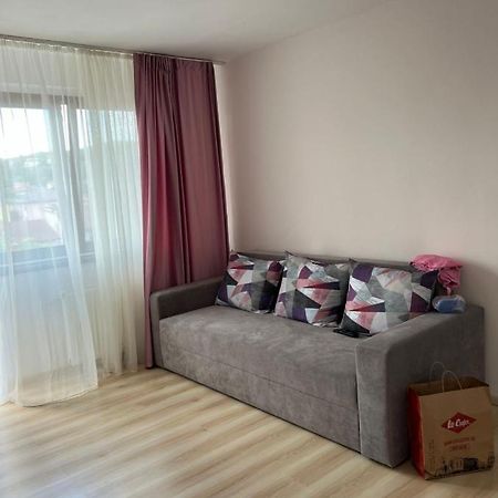 Apartament Centru Διαμέρισμα Râmnicu Vâlcea Εξωτερικό φωτογραφία